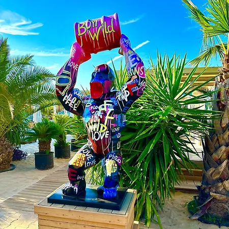 Polarstar * سفيتي فلاس